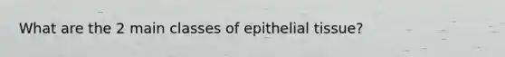 What are the 2 main classes of epithelial tissue?