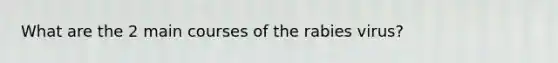 What are the 2 main courses of the rabies virus?