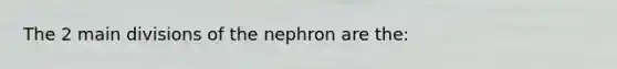 The 2 main divisions of the nephron are the: