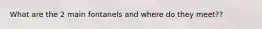 What are the 2 main fontanels and where do they meet??