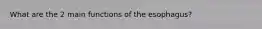 What are the 2 main functions of the esophagus?