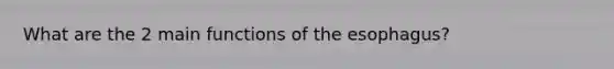 What are the 2 main functions of <a href='https://www.questionai.com/knowledge/kSjVhaa9qF-the-esophagus' class='anchor-knowledge'>the esophagus</a>?