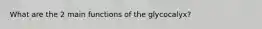 What are the 2 main functions of the glycocalyx?