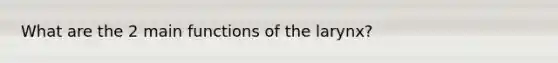 What are the 2 main functions of the larynx?