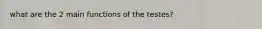 what are the 2 main functions of the testes?