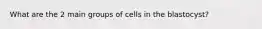 What are the 2 main groups of cells in the blastocyst?