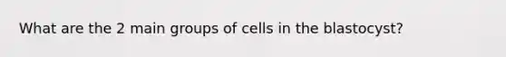 What are the 2 main groups of cells in the blastocyst?