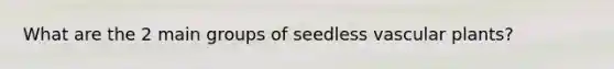 What are the 2 main groups of seedless vascular plants?