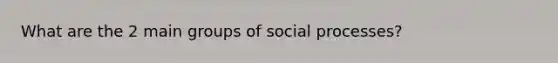 What are the 2 main groups of social processes?