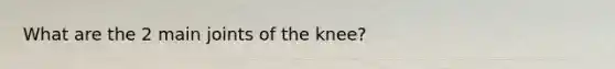 What are the 2 main joints of the knee?