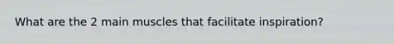 What are the 2 main muscles that facilitate inspiration?