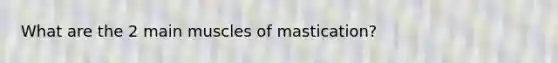 What are the 2 main muscles of mastication?