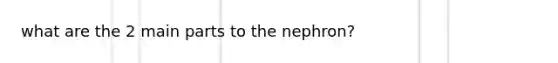 what are the 2 main parts to the nephron?