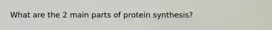 What are the 2 main parts of protein synthesis?