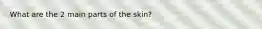 What are the 2 main parts of the skin?