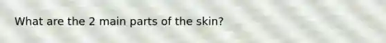 What are the 2 main parts of the skin?