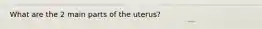 What are the 2 main parts of the uterus?