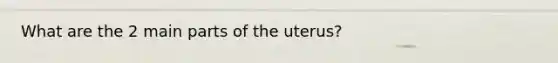 What are the 2 main parts of the uterus?