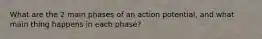 What are the 2 main phases of an action potential, and what main thing happens in each phase?