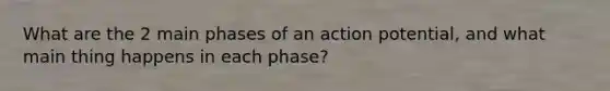 What are the 2 main phases of an action potential, and what main thing happens in each phase?