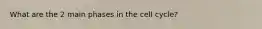 What are the 2 main phases in the cell cycle?