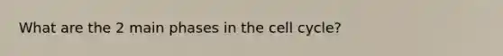 What are the 2 main phases in the cell cycle?