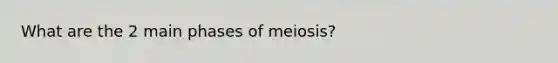 What are the 2 main phases of meiosis?