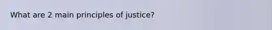 What are 2 main principles of justice?