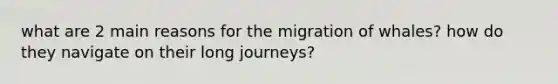 what are 2 main reasons for the migration of whales? how do they navigate on their long journeys?