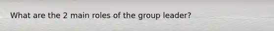 What are the 2 main roles of the group leader?