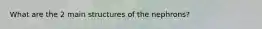 What are the 2 main structures of the nephrons?