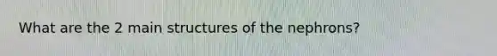 What are the 2 main structures of the nephrons?