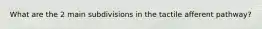 What are the 2 main subdivisions in the tactile afferent pathway?