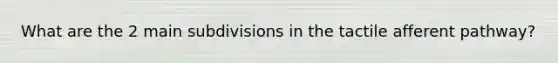 What are the 2 main subdivisions in the tactile afferent pathway?