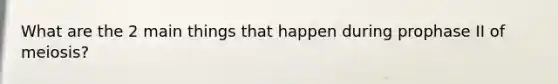 What are the 2 main things that happen during prophase II of meiosis?