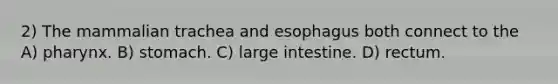 2) The mammalian trachea and esophagus both connect to the A) pharynx. B) stomach. C) large intestine. D) rectum.