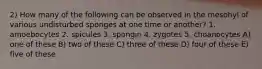 2) How many of the following can be observed in the mesohyl of various undisturbed sponges at one time or another? 1. amoebocytes 2. spicules 3. spongin 4. zygotes 5. choanocytes A) one of these B) two of these C) three of these D) four of these E) five of these