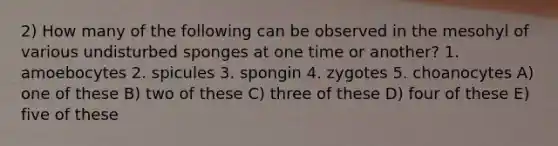 2) How many of the following can be observed in the mesohyl of various undisturbed sponges at one time or another? 1. amoebocytes 2. spicules 3. spongin 4. zygotes 5. choanocytes A) one of these B) two of these C) three of these D) four of these E) five of these