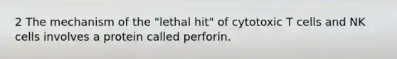 2 The mechanism of the "lethal hit" of cytotoxic T cells and NK cells involves a protein called perforin.