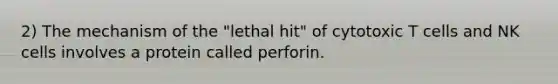 2) The mechanism of the "lethal hit" of cytotoxic T cells and NK cells involves a protein called perforin.