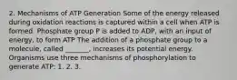 2. Mechanisms of ATP Generation Some of the energy released during oxidation reactions is captured within a cell when ATP is formed. Phosphate group P is added to ADP, with an input of energy, to form ATP The addition of a phosphate group to a molecule, called _______, increases its potential energy. Organisms use three mechanisms of phosphorylation to generate ATP: 1. 2. 3.