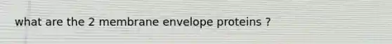 what are the 2 membrane envelope proteins ?