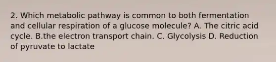 2. Which metabolic pathway is common to both fermentation and cellular respiration of a glucose molecule? A. The citric acid cycle. B.the electron transport chain. C. Glycolysis D. Reduction of pyruvate to lactate