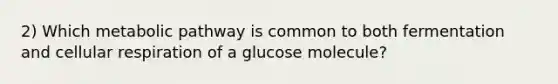 2) Which metabolic pathway is common to both fermentation and cellular respiration of a glucose molecule?