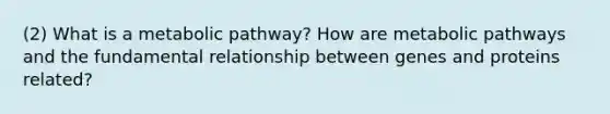 (2) What is a metabolic pathway? How are metabolic pathways and the fundamental relationship between genes and proteins related?