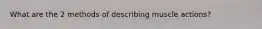 What are the 2 methods of describing muscle actions?