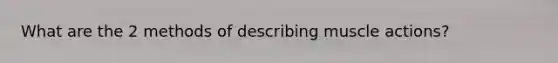 What are the 2 methods of describing muscle actions?