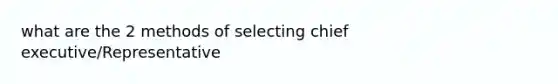 what are the 2 methods of selecting chief executive/Representative