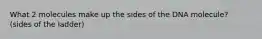 What 2 molecules make up the sides of the DNA molecule? (sides of the ladder)