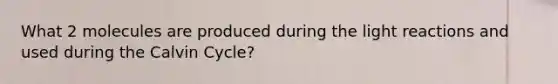 What 2 molecules are produced during the light reactions and used during the Calvin Cycle?